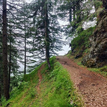 Neha Homestay Šimla Exteriér fotografie