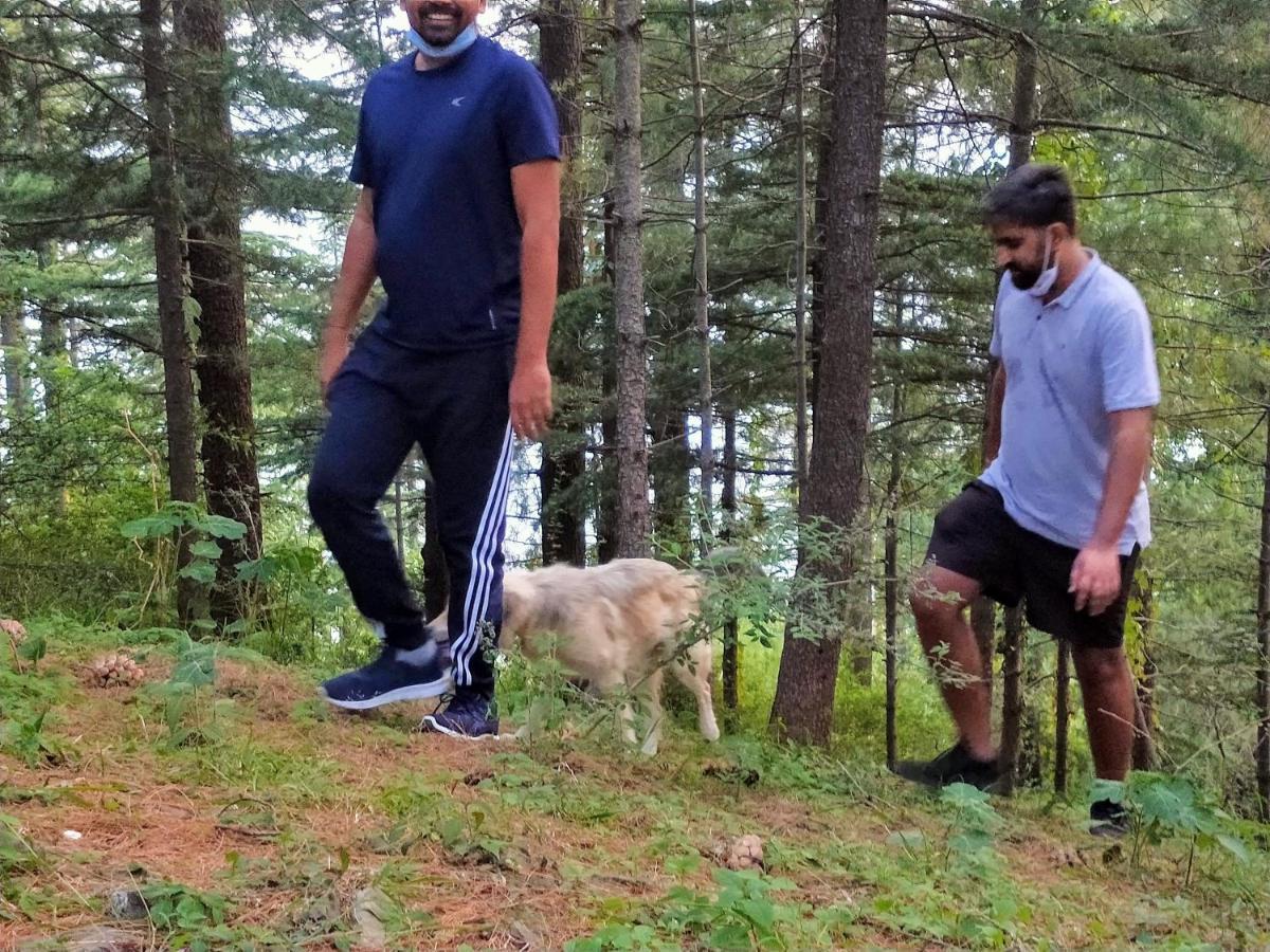 Neha Homestay Šimla Exteriér fotografie