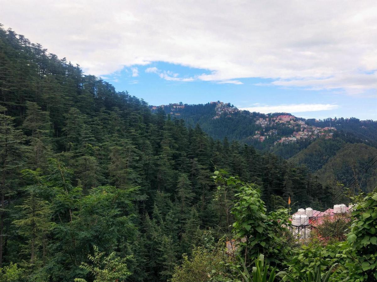 Neha Homestay Šimla Exteriér fotografie
