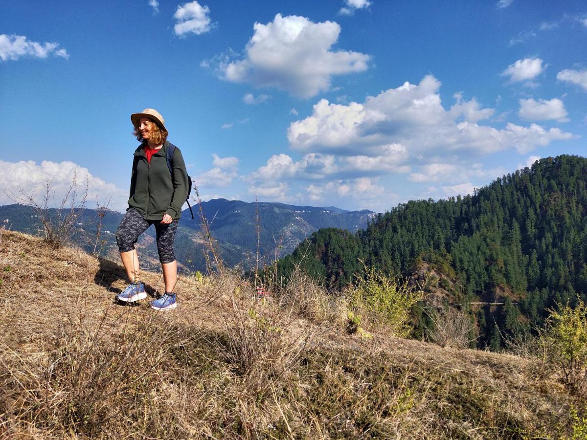 Neha Homestay Šimla Exteriér fotografie