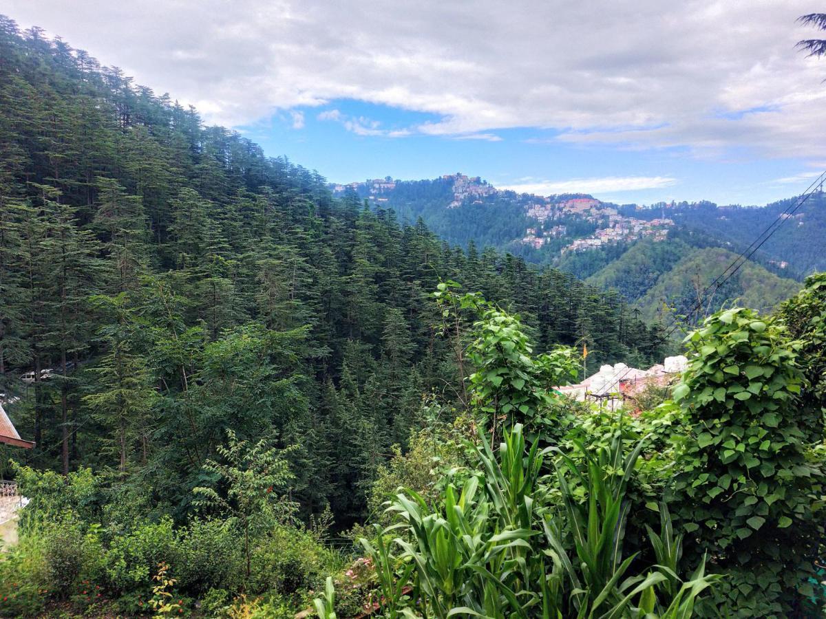 Neha Homestay Šimla Exteriér fotografie