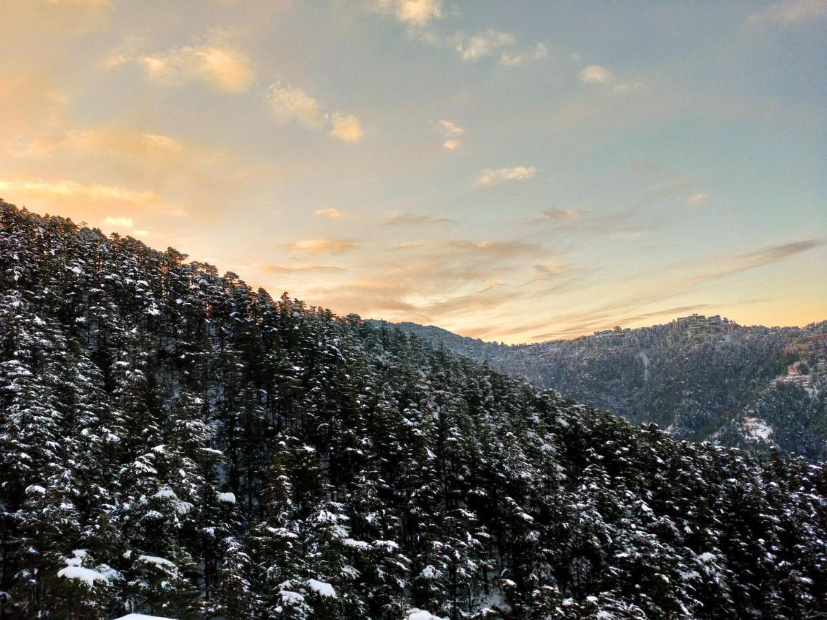 Neha Homestay Šimla Exteriér fotografie