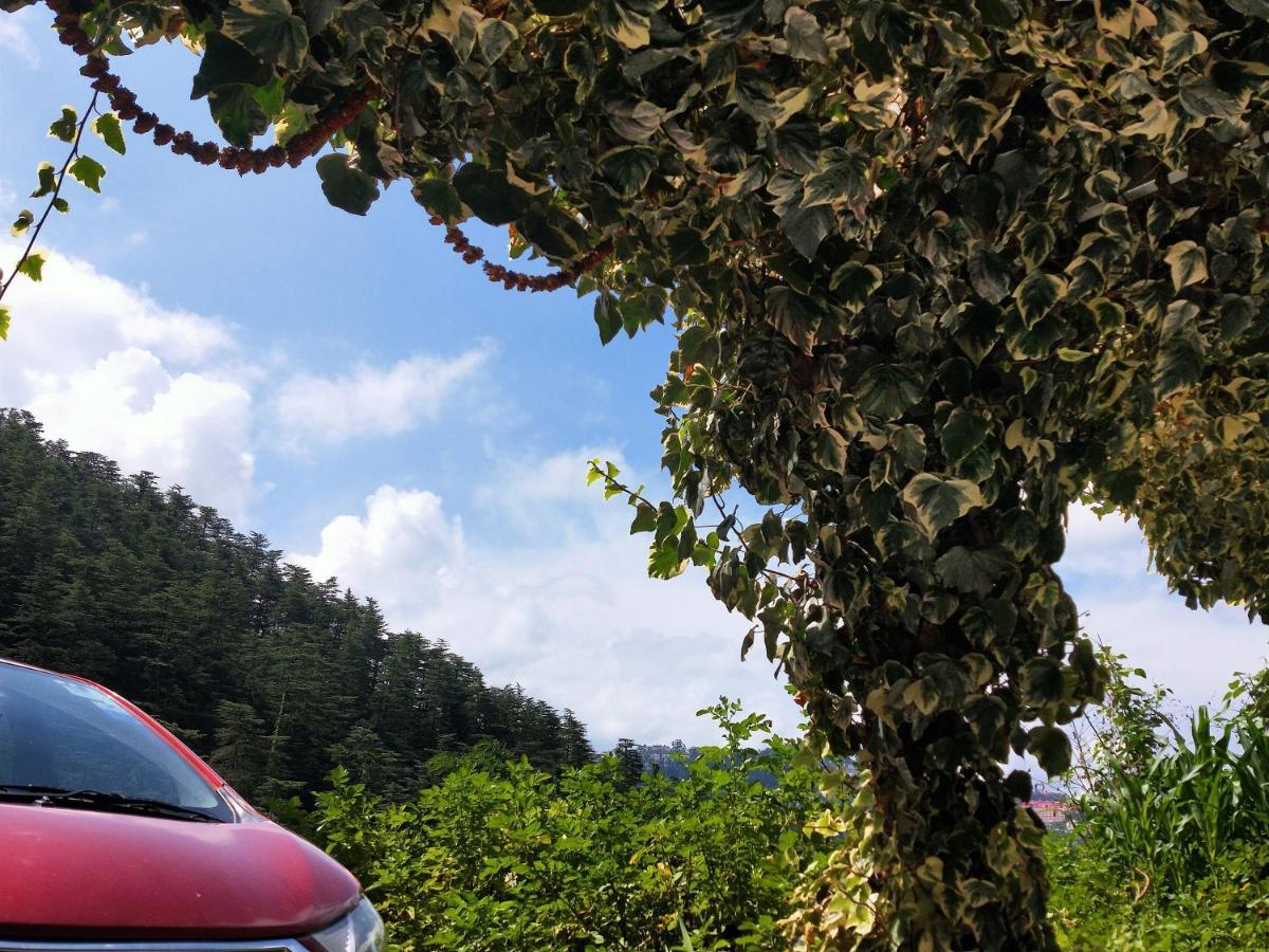Neha Homestay Šimla Exteriér fotografie