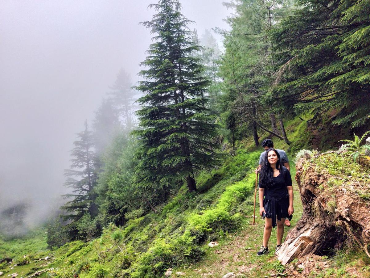 Neha Homestay Šimla Exteriér fotografie