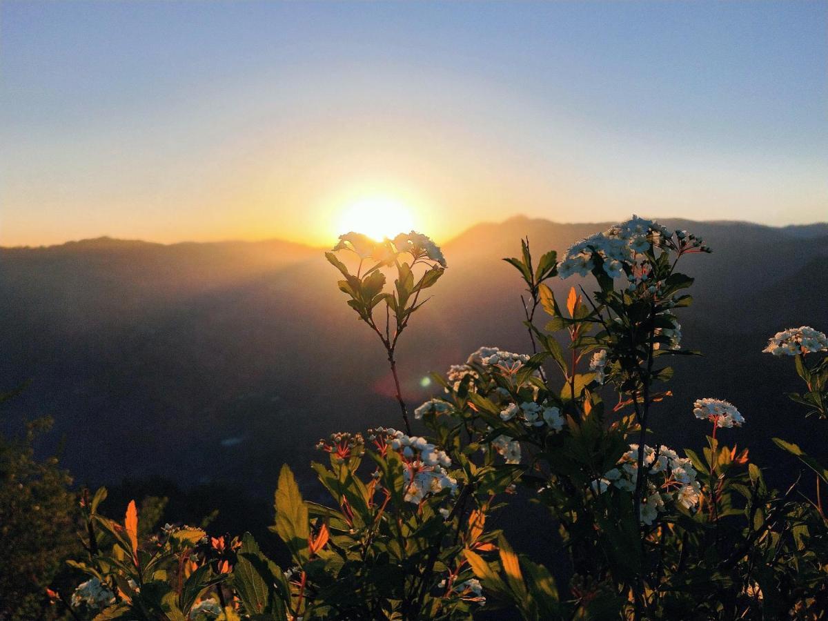Neha Homestay Šimla Exteriér fotografie