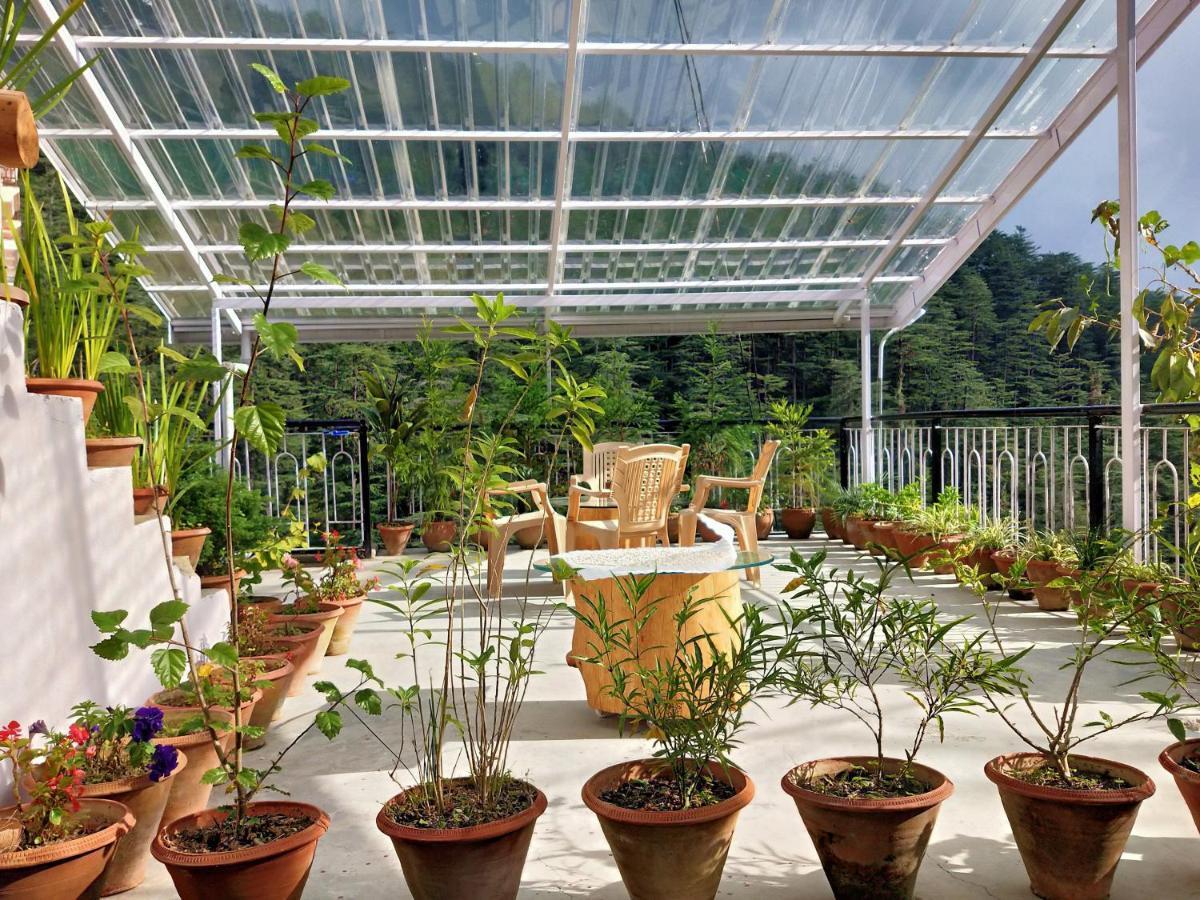 Neha Homestay Šimla Exteriér fotografie
