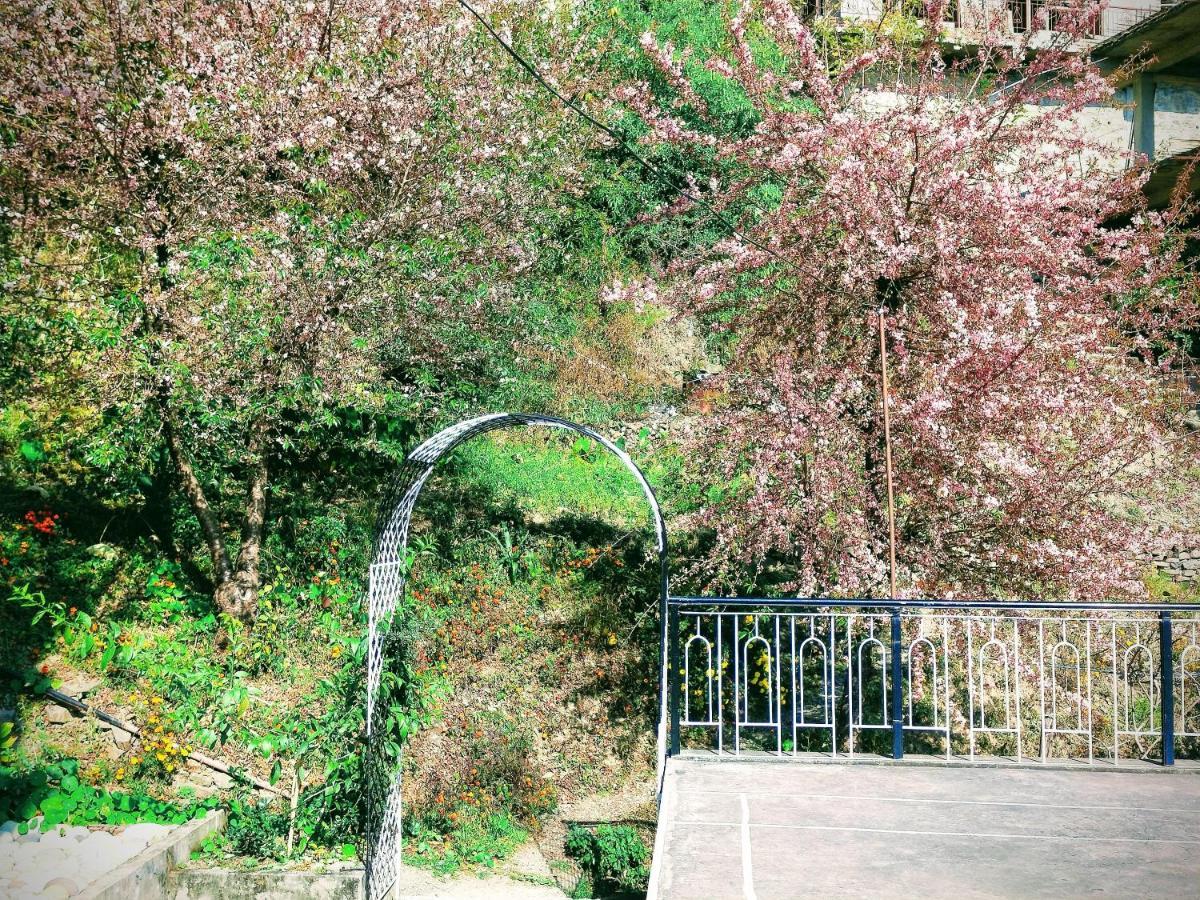 Neha Homestay Šimla Exteriér fotografie