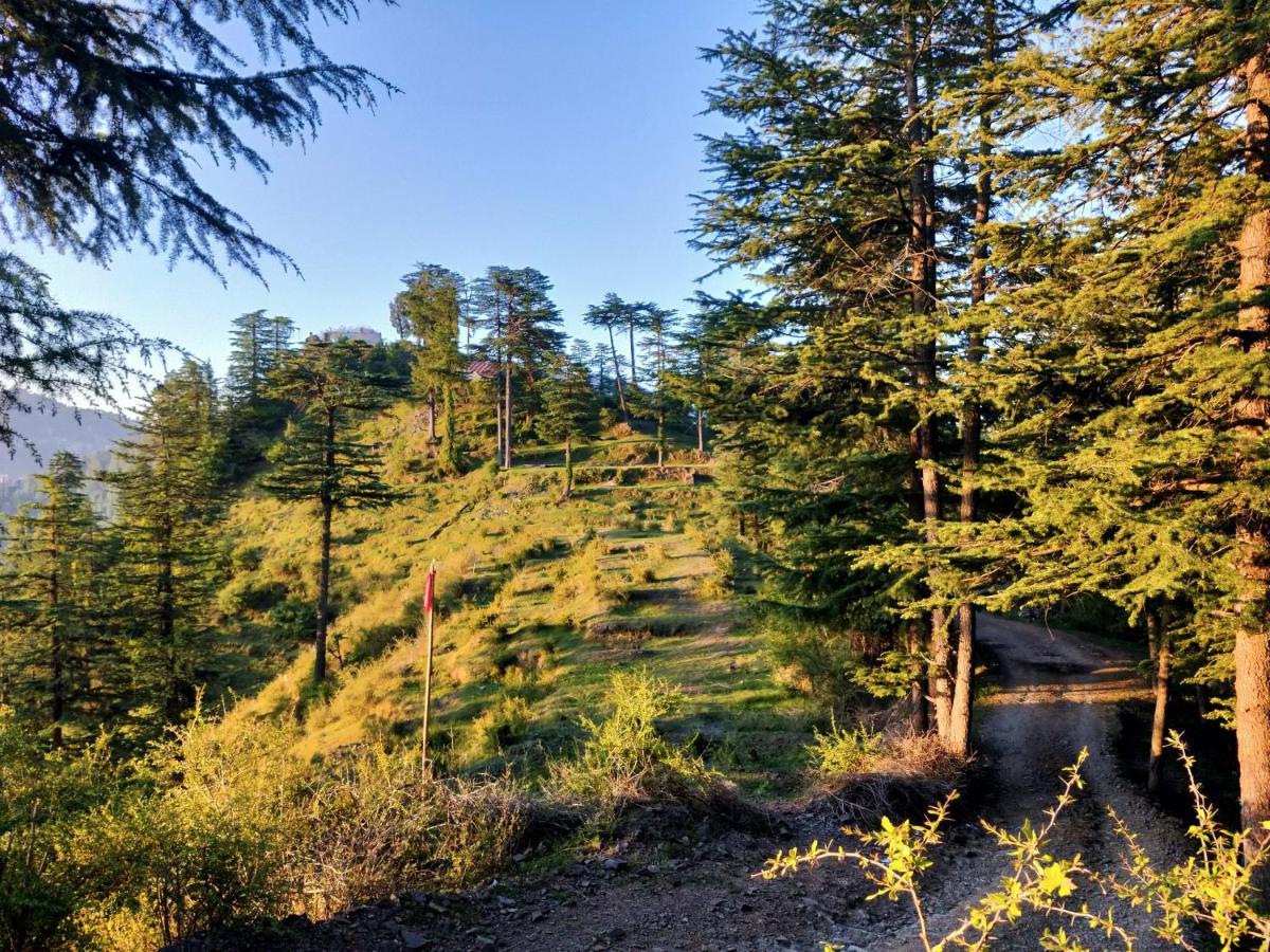 Neha Homestay Šimla Exteriér fotografie