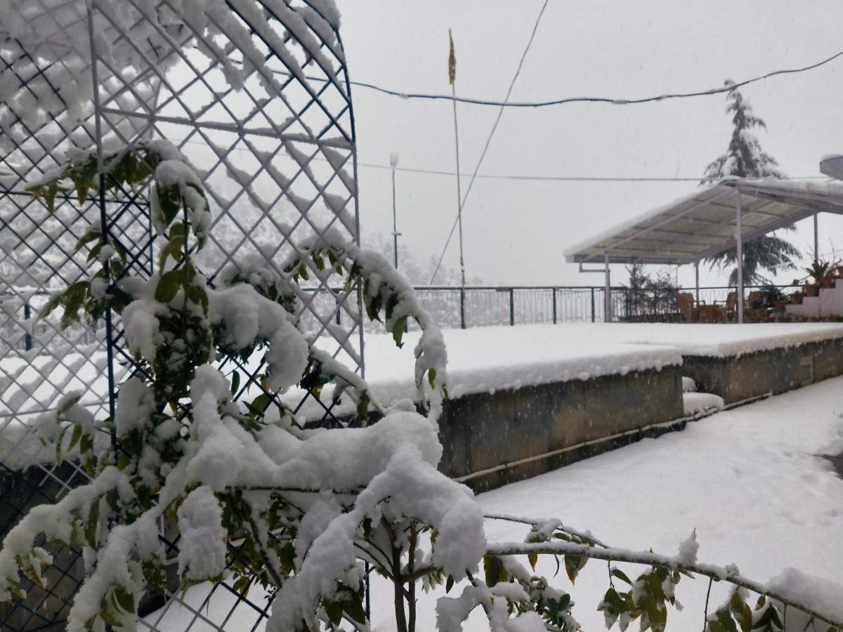 Neha Homestay Šimla Exteriér fotografie