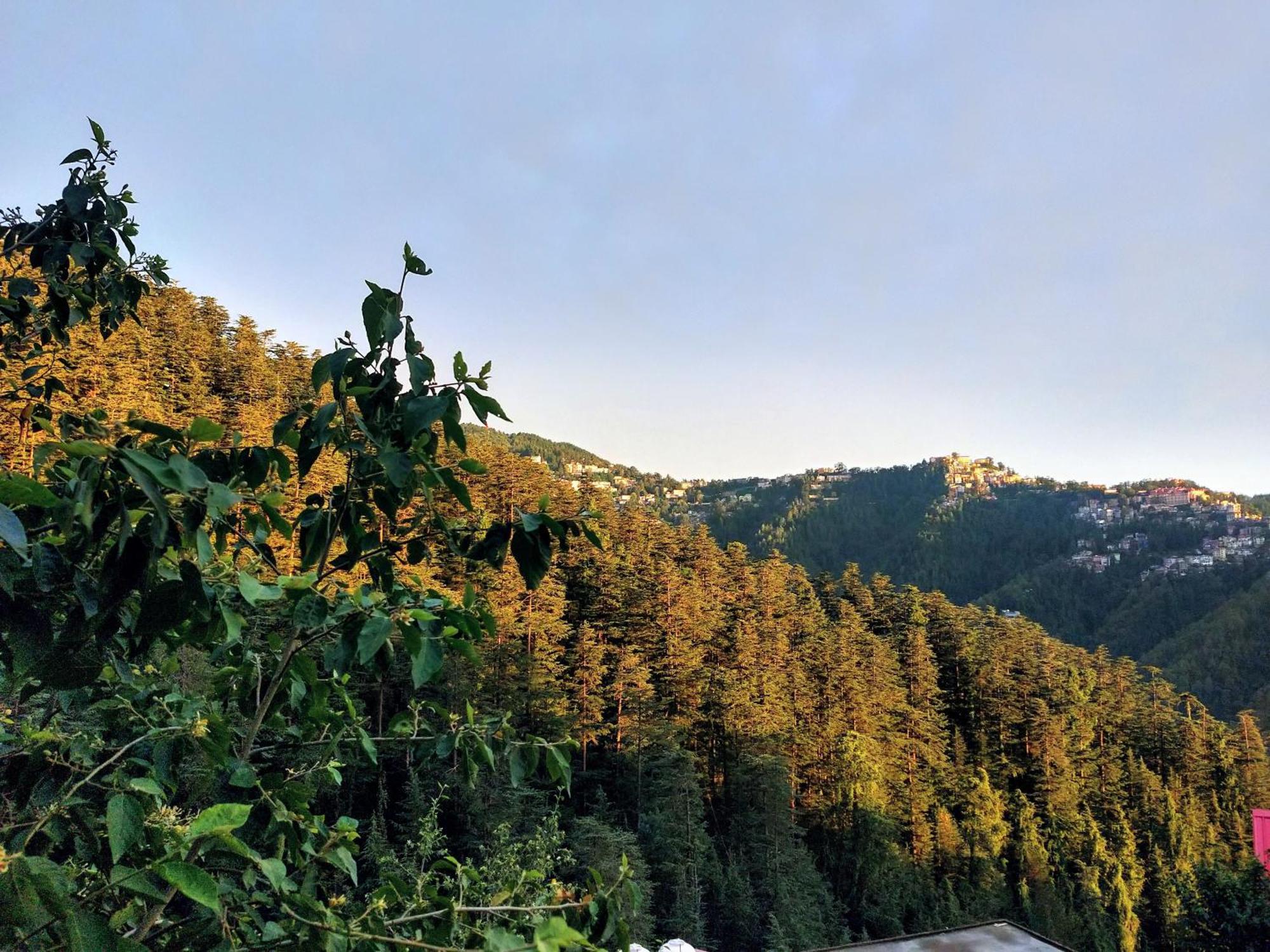 Neha Homestay Šimla Exteriér fotografie
