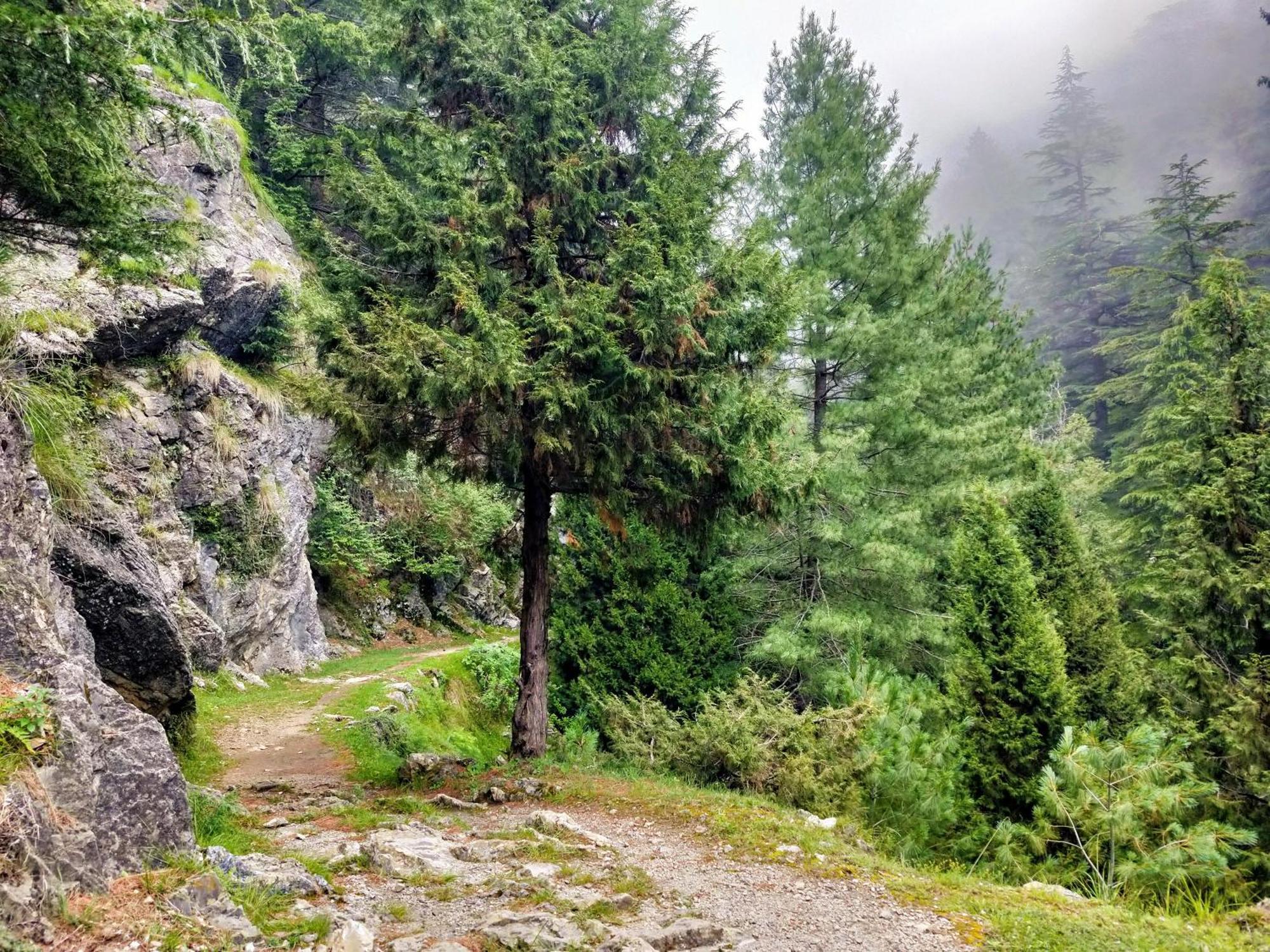 Neha Homestay Šimla Exteriér fotografie